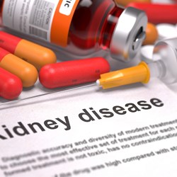 Image for Kidney Disease (Nephropathy)