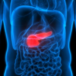 Image for Latent Autoimmune Diabetes of the Adult (LADA)