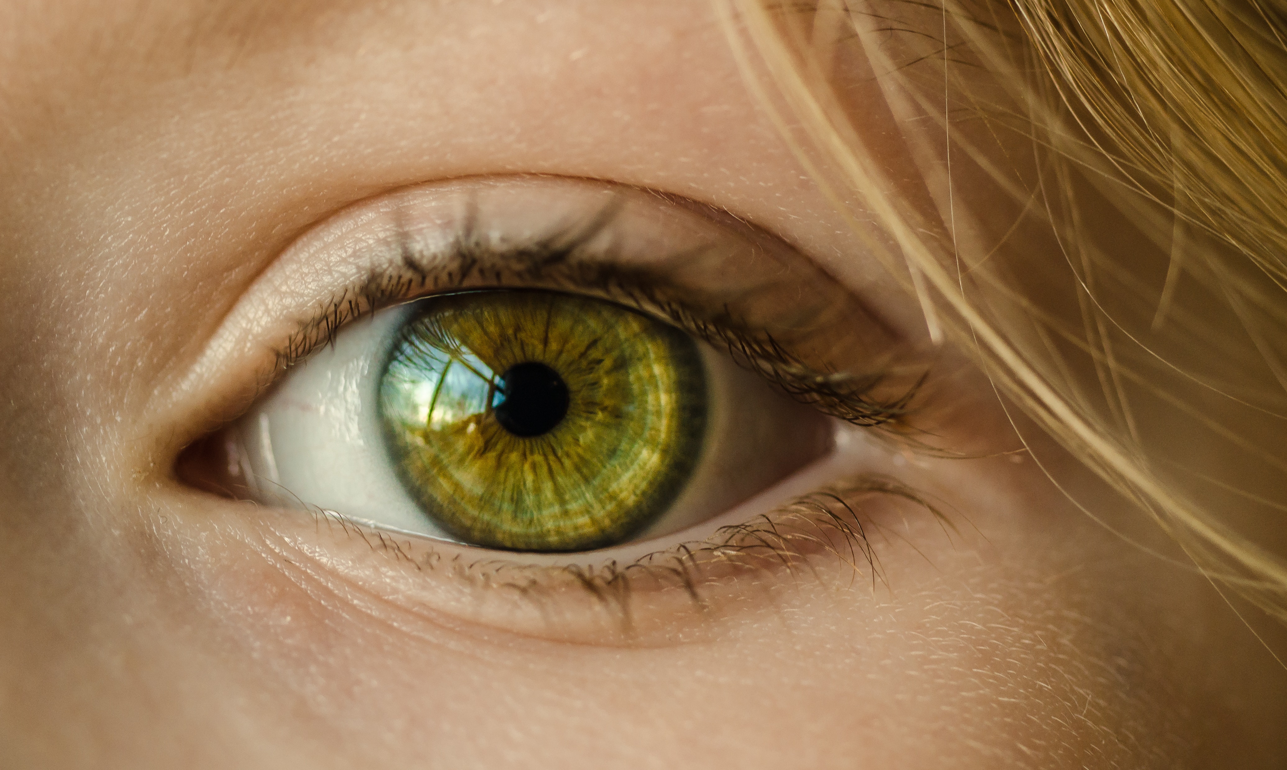 Image for Eyes