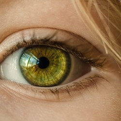 Image for Your guide to diabetic eye screening