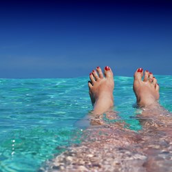 Image for Urdu - Holiday Feet