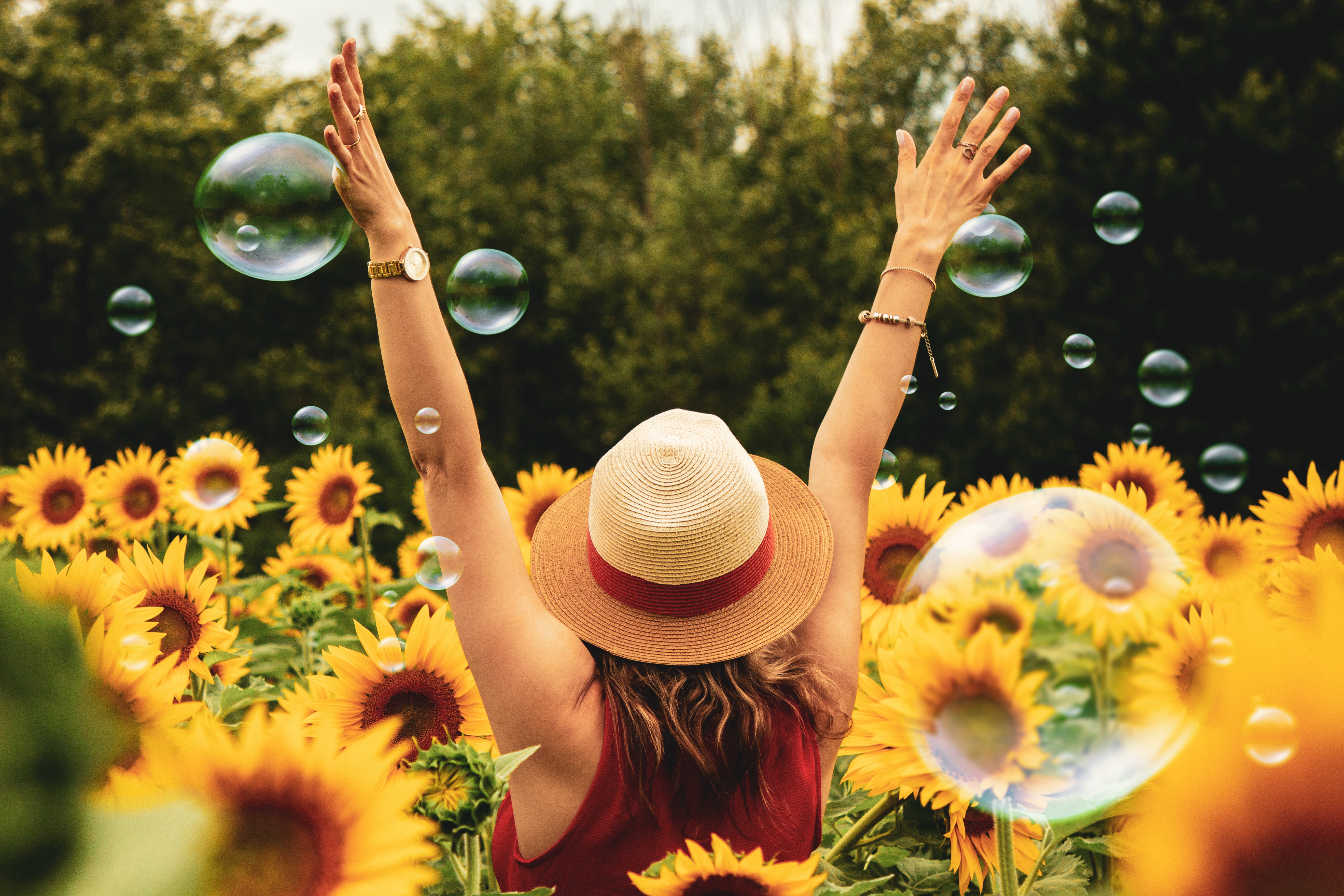 Image for Mental Well-being
