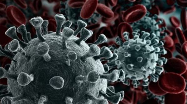 COVID Response toolkit