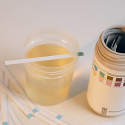 Image for Low Ketone Management Flowchart for Hybrid Close Loop Users